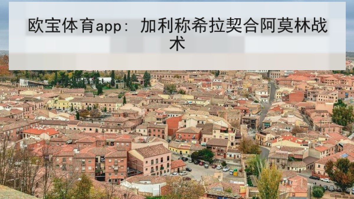 欧宝体育app: 加利称希拉契合阿莫林战术
