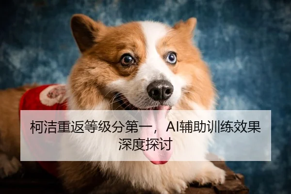 柯洁重返等级分第一，AI辅助训练效果深度探讨