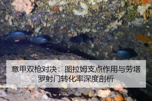 意甲双枪对决：图拉姆支点作用与劳塔罗射门转化率深度剖析
