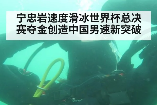 宁忠岩速度滑冰世界杯总决赛夺金创造中国男速新突破