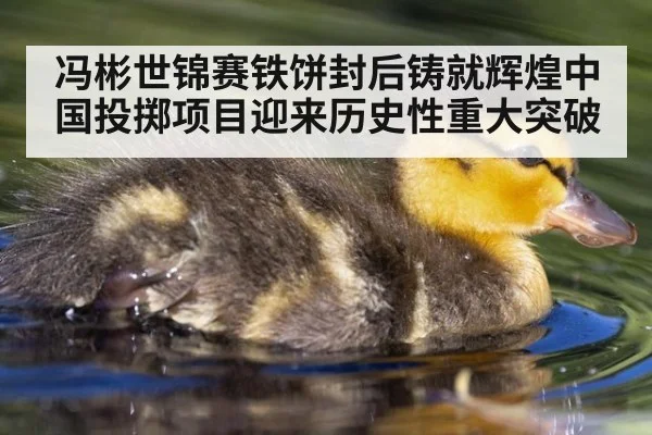 冯彬世锦赛铁饼封后铸就辉煌中国投掷项目迎来历史性重大突破